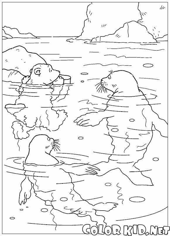 لارس والحيتان