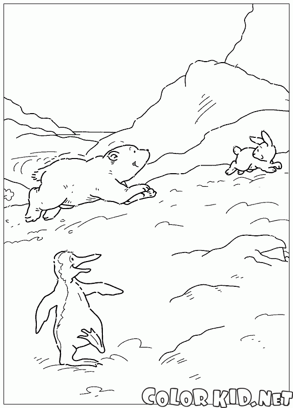 لارس والأرنب البري