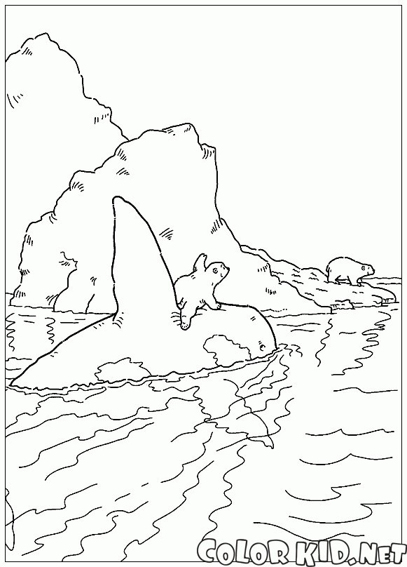 لارس والحيتان القاتلة