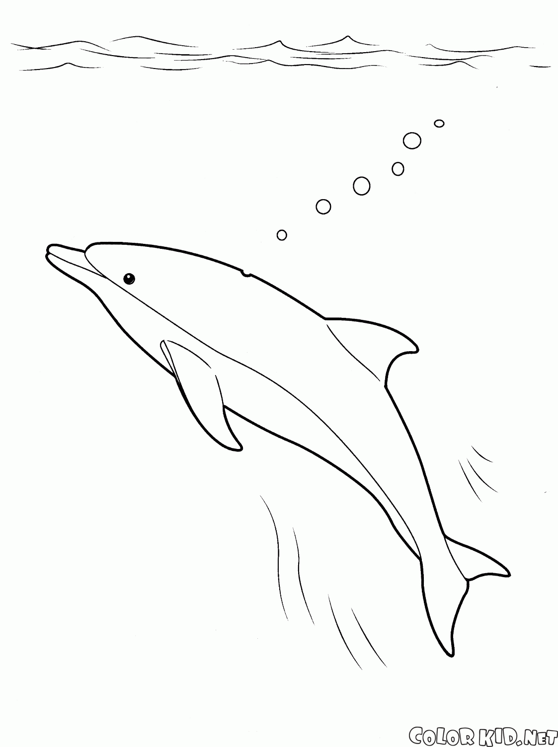 دلفين