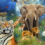 عالم الحيوانات