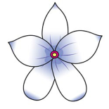 أزهار
