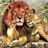 الحيوانات البرية