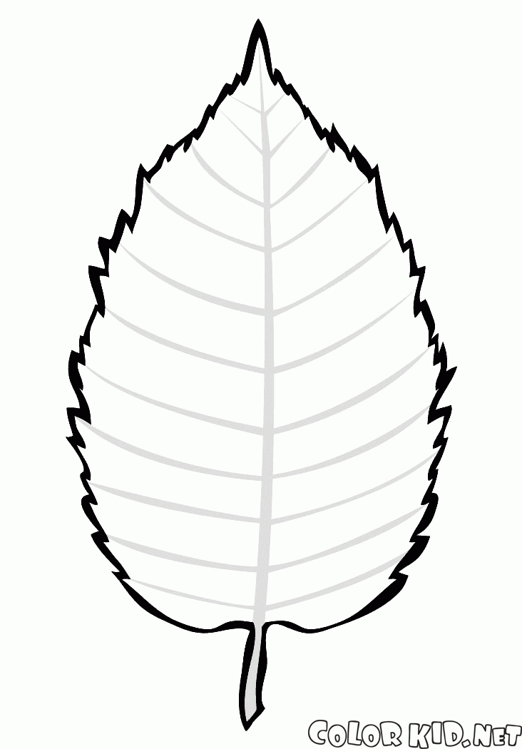 شكل شجرة باوراق للتلوين Guuj
