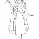 الشفق القطبي والطيور