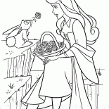 الأميرة أورورا والأرنب
