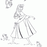 أورورا للنزهة