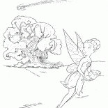 إريديسا وكوميت