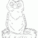 الصقر الصغير - هانا