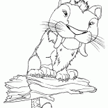 تشانكس - بيت غروغ