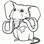 حيوانات ساندي الأليفة 