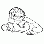 الحيوانات الأليفة الصغيرة