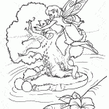 أجنحة الجنية