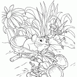 خائفة الماوس