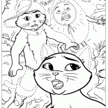 السماء وفي جزمة