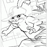 في جزمة على مطاردة