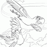 الببغاوات الطائر