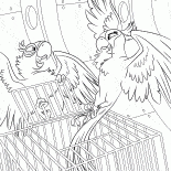 جوهرة مجانية