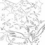 رحلات طيران على ارتفاعات عالية