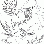 مطاردة الطيور