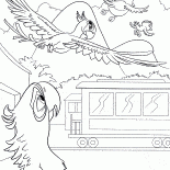 جوهرة يطير بعيدا