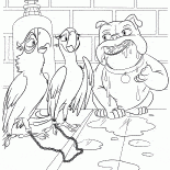 الببغاوات والبرازيلي لويز