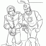 القبض على فلين