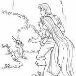 الارنب الغابات