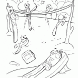 أدوات ويستريح