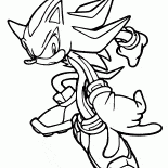 الظل القنفذ