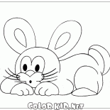 الأرنب الصغير