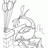 الطيور على السطح