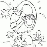 الطيور والكلب