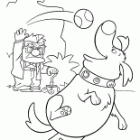 دوغ يحب الكرة