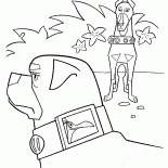 طوق دوبيرمان