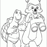 السلحفاة وأرجي