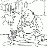 شريك في الاهوار