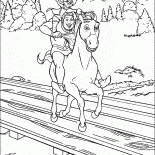 القط وشريك في الحمار