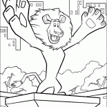 اليكس - سوبر ستار