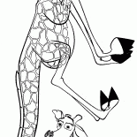 ميلمان والعبث