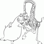 جلوريا والزرافة لطيف