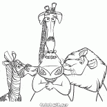 جميل غلوريا