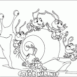 ركوب الحلزون