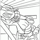 شيلرايزر في االحدث