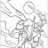 ليوناردو على السطح