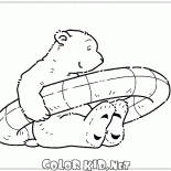 الدب القطبي