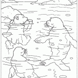 لارس والحيتان