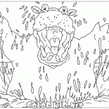 فرس النهر مخيف