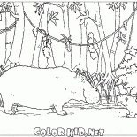 لقاء مع فرس النهر