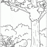 لارس والحرباء